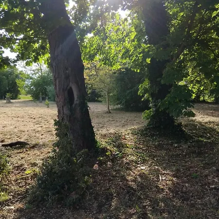 Villa Manoir De Tournebride *